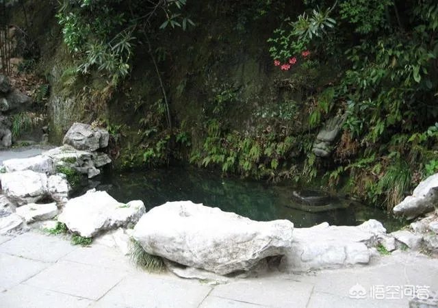 龙井茶的由来是什么?