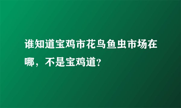 谁知道宝鸡市花鸟鱼虫市场在哪，不是宝鸡道？