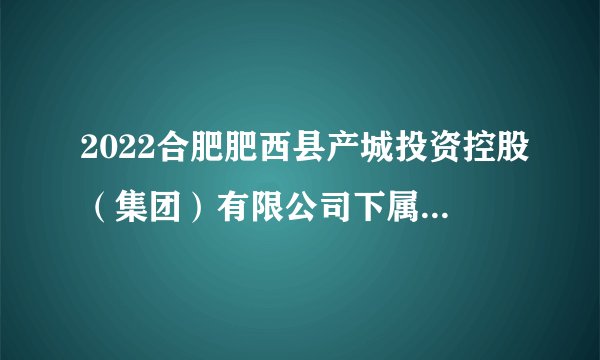 2022合肥肥西县产城投资控股（集团）有限公司下属子公司招聘公告