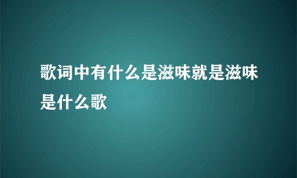 歌词中有什么是滋味就是滋味是什么歌