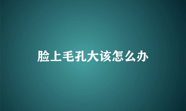 脸上毛孔大该怎么办
