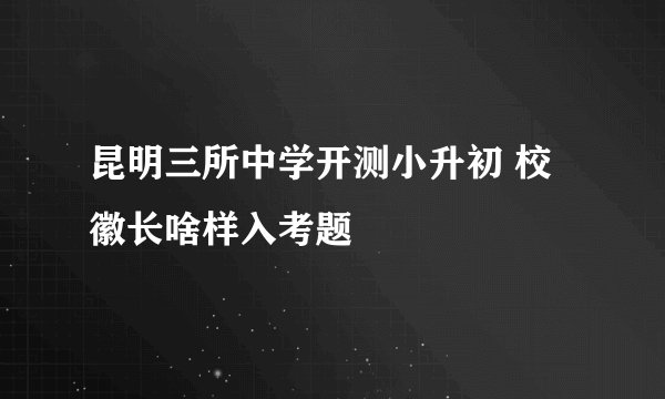 昆明三所中学开测小升初 校徽长啥样入考题
