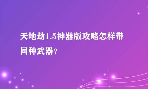 天地劫1.5神器版攻略怎样带同种武器？