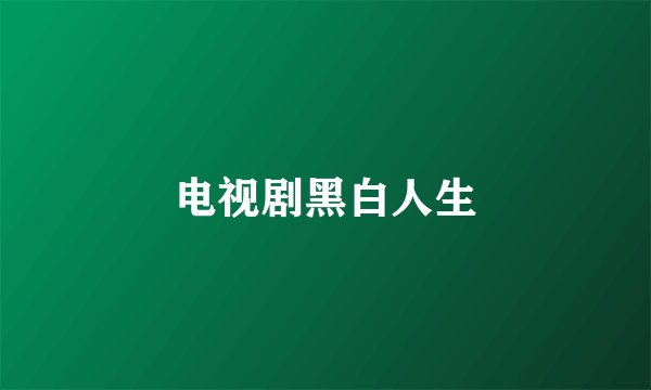 电视剧黑白人生