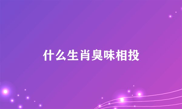 什么生肖臭味相投