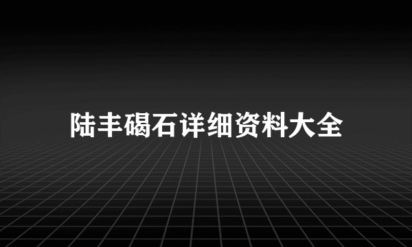 陆丰碣石详细资料大全