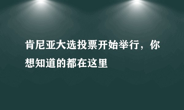 肯尼亚大选投票开始举行，你想知道的都在这里
