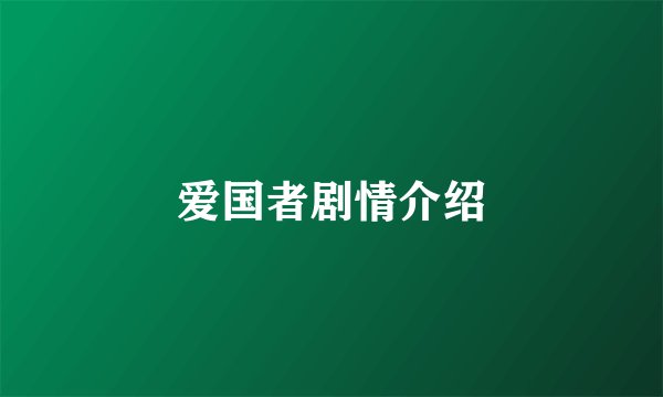 爱国者剧情介绍