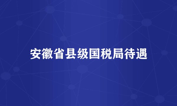 安徽省县级国税局待遇