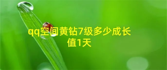 qq空间黄钻7级多少成长值1天
