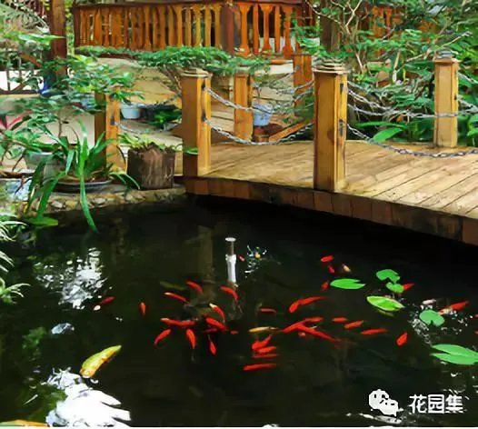 纯天然庭院鱼池打造攻略,生态、省心又实惠!赶紧收藏