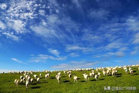 中国共有哪些著名的湿地公园?
