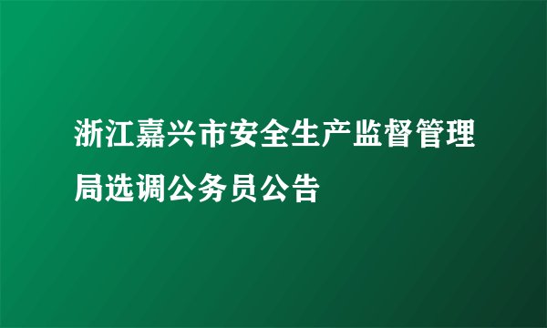 浙江嘉兴市安全生产监督管理局选调公务员公告
