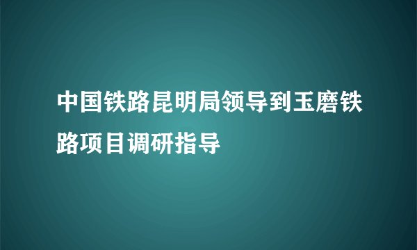 中国铁路昆明局领导到玉磨铁路项目调研指导