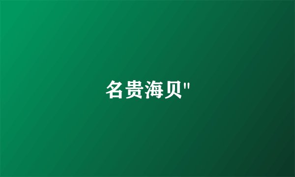 名贵海贝