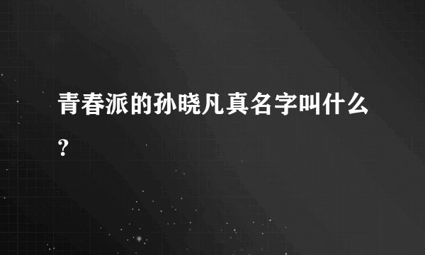 青春派的孙晓凡真名字叫什么?