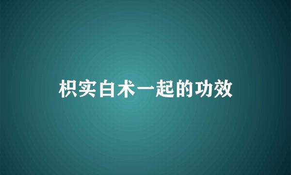 枳实白术一起的功效