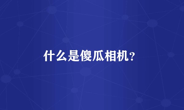 什么是傻瓜相机?