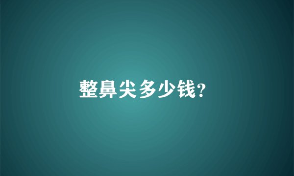 整鼻尖多少钱？