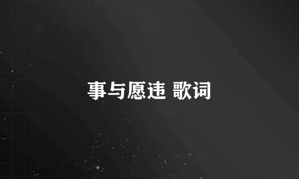 事与愿违 歌词