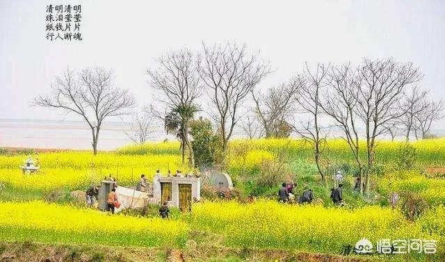清明上坟的最佳时间是几点?有哪些禁忌和要求?