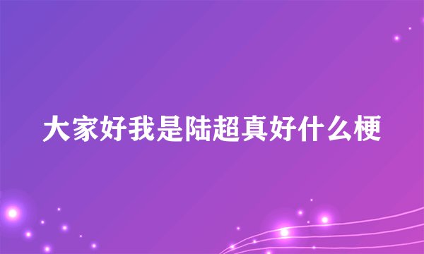 大家好我是陆超真好什么梗