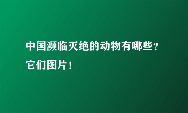中国濒临灭绝的动物有哪些?它们图片!