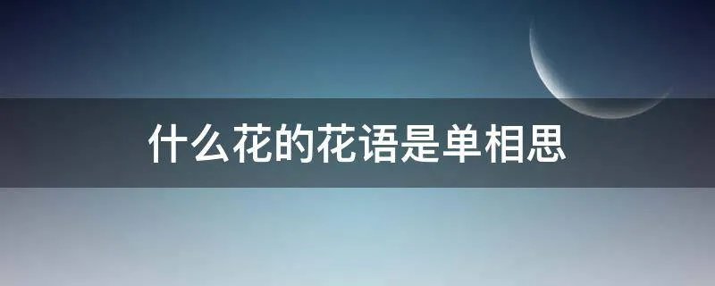 什么花的花语是单相思