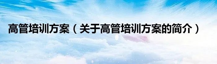 高管培训方案（关于高管培训方案的简介）