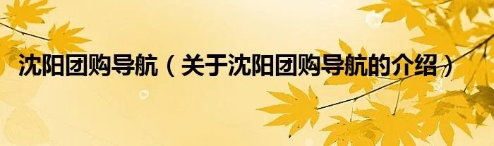沈阳团购导航（关于沈阳团购导航的介绍）