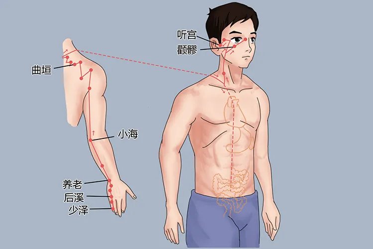 手腕上经络的准确位置图