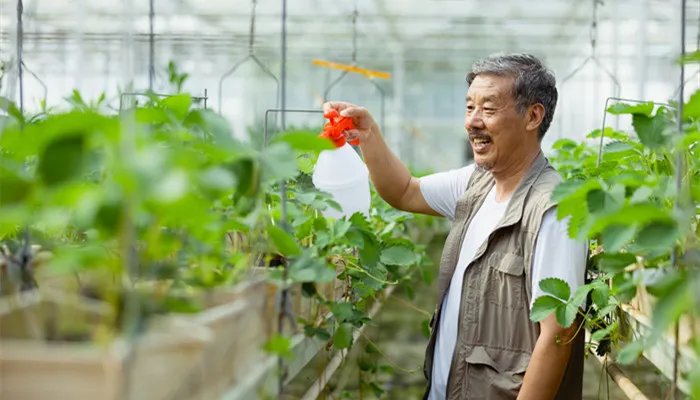 什么是农业生产成本 农业生产成本是什么