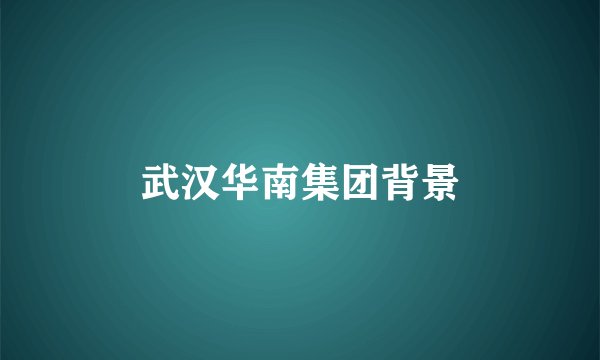 武汉华南集团背景