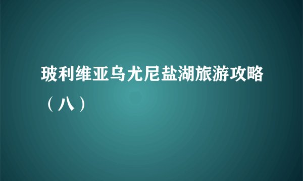 玻利维亚乌尤尼盐湖旅游攻略（八）