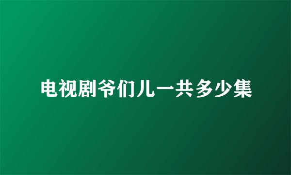 电视剧爷们儿一共多少集