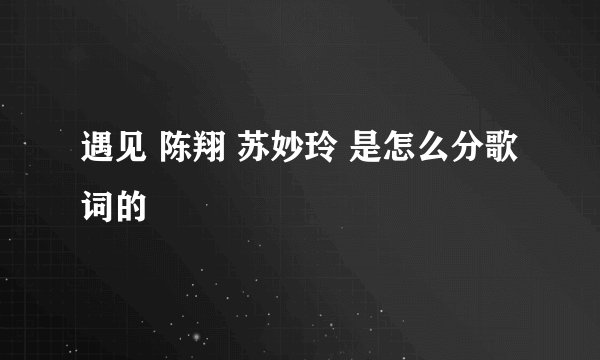 遇见 陈翔 苏妙玲 是怎么分歌词的