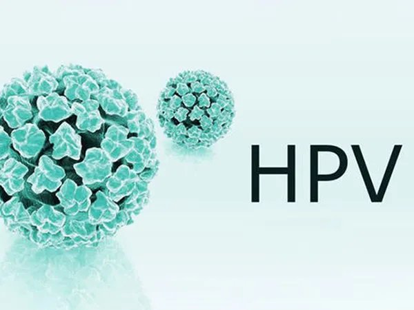 为什么九价hpv疫苗在美国被叫停接种?