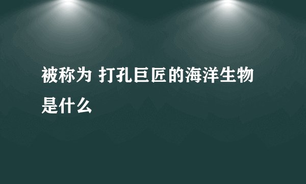 被称为 打孔巨匠的海洋生物是什么
