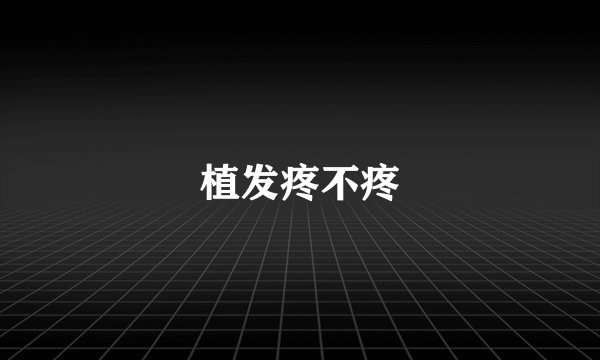 植发疼不疼