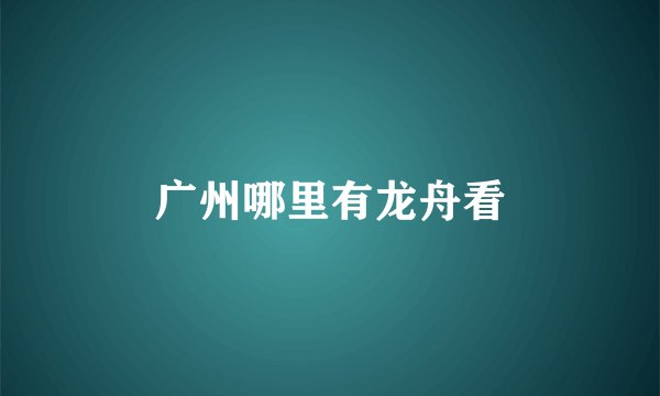 广州哪里有龙舟看