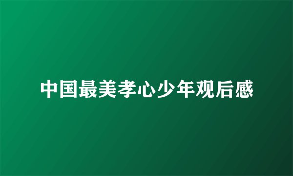 中国最美孝心少年观后感