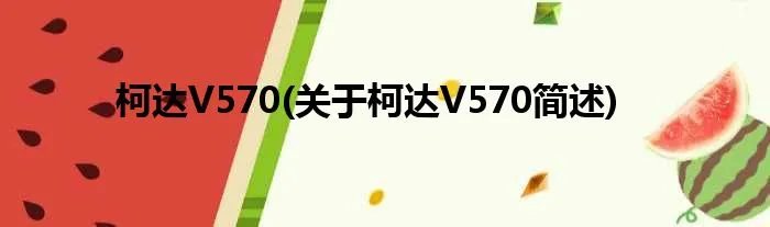 柯达V570(关于柯达V570简述)