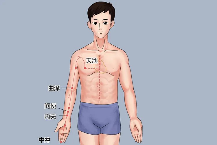 手腕上经络的准确位置图