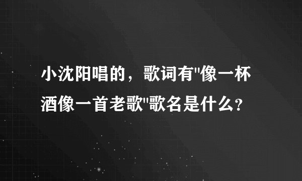 小沈阳唱的，歌词有