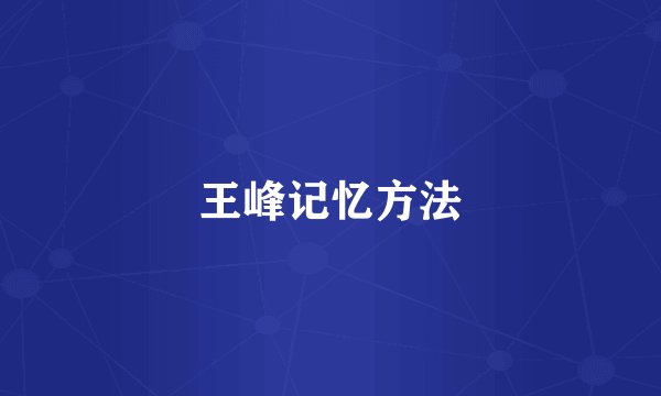 王峰记忆方法