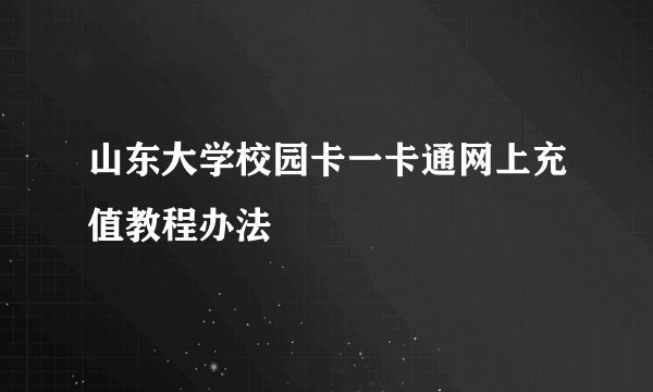山东大学校园卡一卡通网上充值教程办法