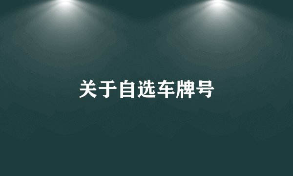 关于自选车牌号