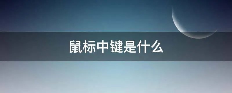 鼠标中键是什么