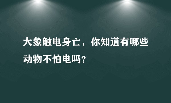 大象触电身亡，你知道有哪些动物不怕电吗？
