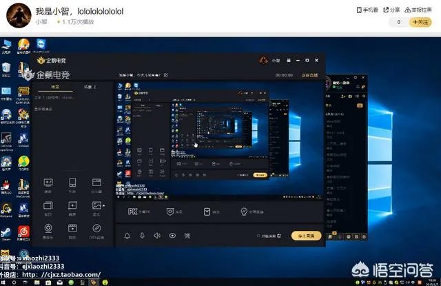 如何看待小智回应“给王思聪跪下一个小时”的传言,并且直播间爆粗口怒喷王思聪?